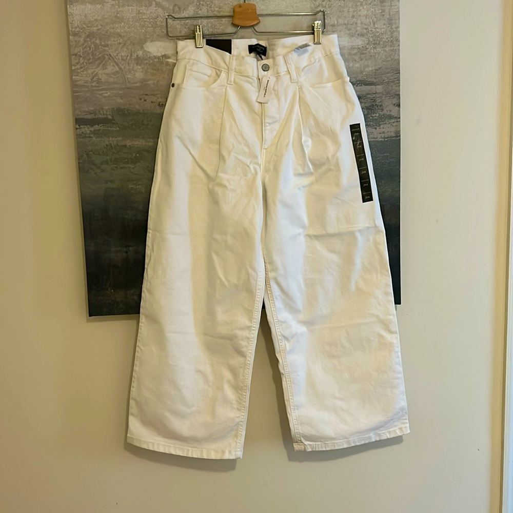 Banana Republic Wide Leg Crop